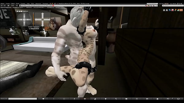 two felines having fun